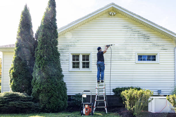 Best Gutter Cleaning  in Robesonia, PA